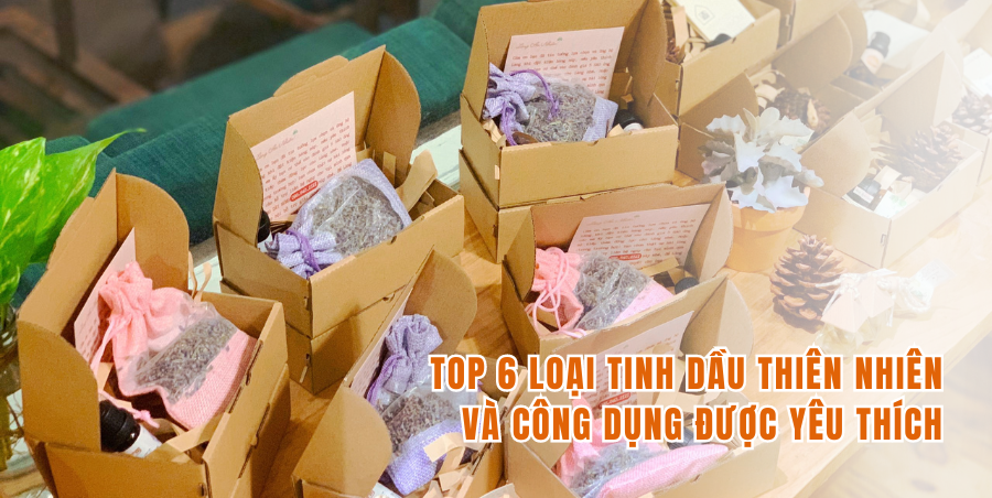 Top 6 loại tinh dầu thiên nhiên và công dụng được yêu thích